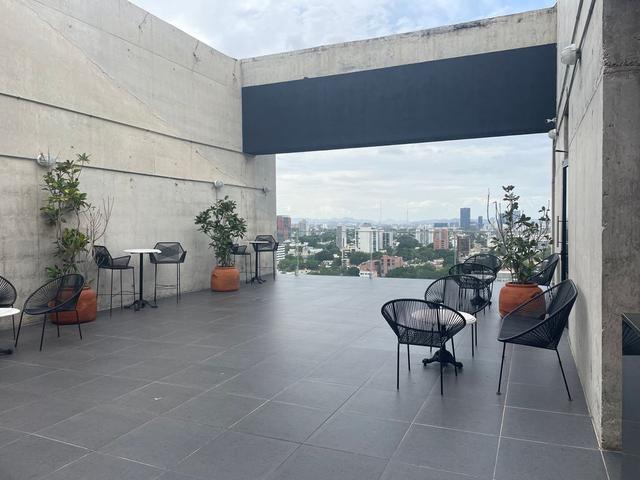 Foto de la galeria de imagenes